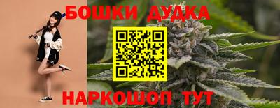 мдпв Можга