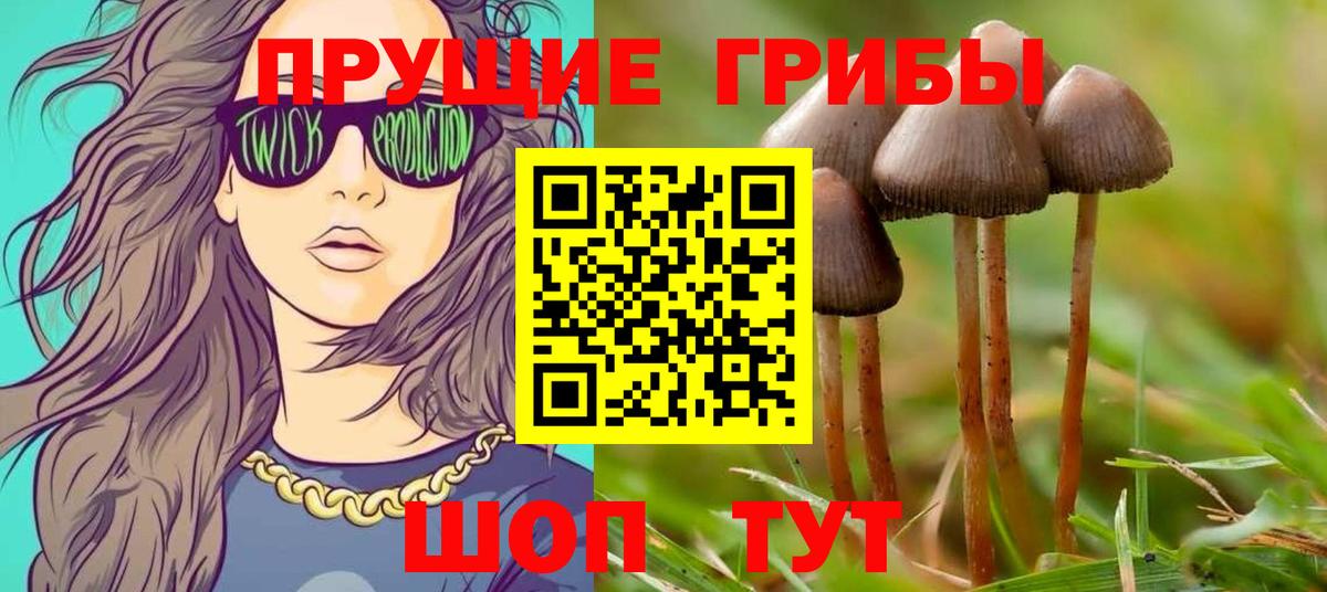 Псилоцибиновые грибы прущие грибы Туймазы