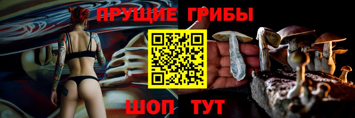 Галлюциногенные грибы MAGIC MUSHROOMS  Вход с VPN  что такое наркотик  Туймазы 